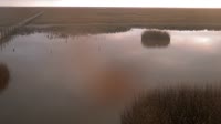 Parco nazionale di Doñana - Caño de Rosalimán