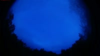 Aðaldalshraun - Northern lights