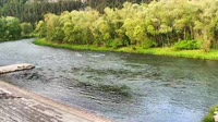 Przystań Flisacka