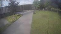 Colección de webcams