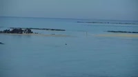 Miniaturansicht