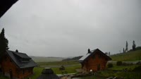 Oberharz am Brocken - Tanne