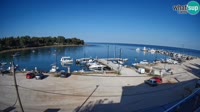 Savudrija - Marina