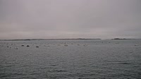 Plouézec - Port Lazo