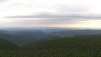 Schneekopf - Las Turyński