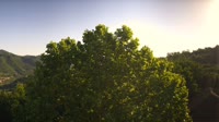 Bosia - Panorama