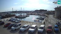 Novigrad - Porporela Marina