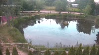 Rąbień - Staw