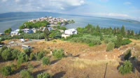 Nilüfer - Gölyazı