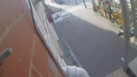 Miniatiūra