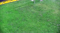 Nosal - Pista de esquí