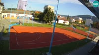 Miniatura