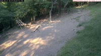 Veszprém - Vogelhäuschen