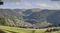 Todtnau im Südschwarzwald - Hasenhorn