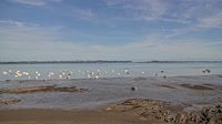 Plouézec - Port Lazo