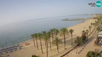 Roses - Beach