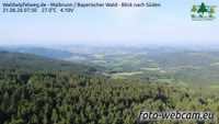 Maibrunn - Waldwipfelweg - Foresta Bavarese