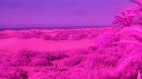 Gran Canaria - Maspalomas - Mirador Dunas