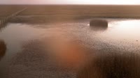 Parco nazionale di Doñana - Caño de Rosalimán