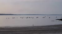 Plougonvelin - Plage du Trez-Hir