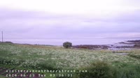 Laukvik