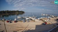 Savudrija - Marina