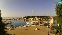 Veglia - Marina
