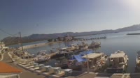 Cervi - Port