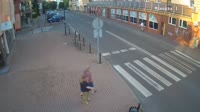 Miniaturka