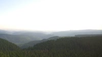 Schneekopf - Las Turyński