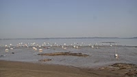 Plouézec - Port Lazo