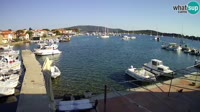 Asinello - Porto