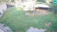 Lubiana - ZOO