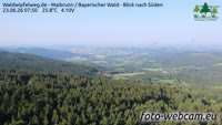 Maibrunn - Waldwipfelweg - Foresta Bavarese
