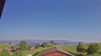 Root - Vista panoramica