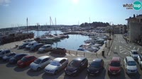 Novigrad - Porporela Marina