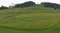 Koziniec