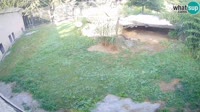 Ljubljana - ZOO