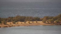 Creta - Gialos - Playa de Grammeno
