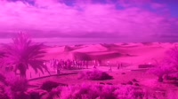 Gran Canaria - Maspalomas - Mirador Dunas
