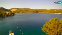 Hvar - Vira