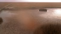 Doñana National Park - Caño de Rosalimán