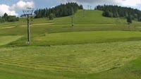 Koziniec