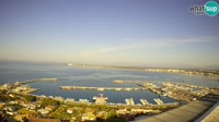 Roses - Porto