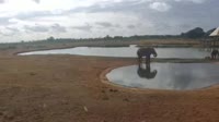 Voi - Parco nazionale dello Tsavo