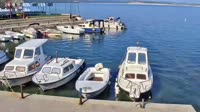 Crikvenica - Luka Omorika
