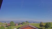 Root - Vista panorámica