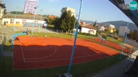 Miniatura