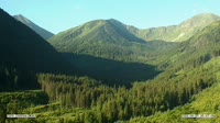 Miniatiūra
