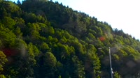 Miniatiūra